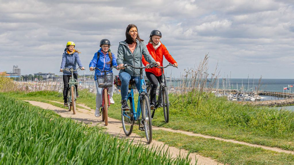 Cycle paths in Germany: The most beautiful routes from the Baltic Sea to the Palatinate | Life & Knowledge