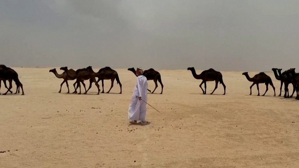 Video: The mysteries of ancient ruins at the Omani Shisr site | Culture